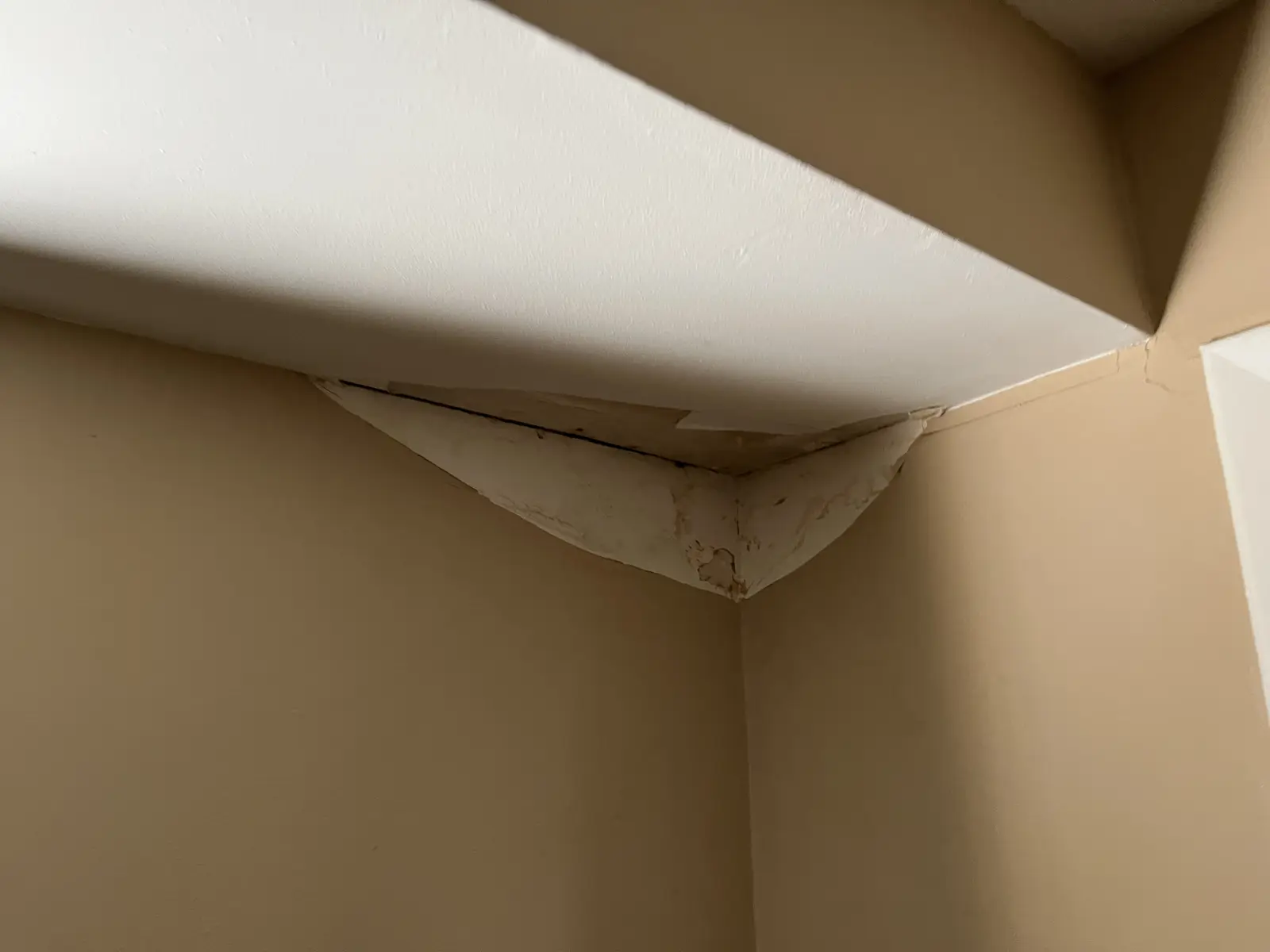 Ceiling damage