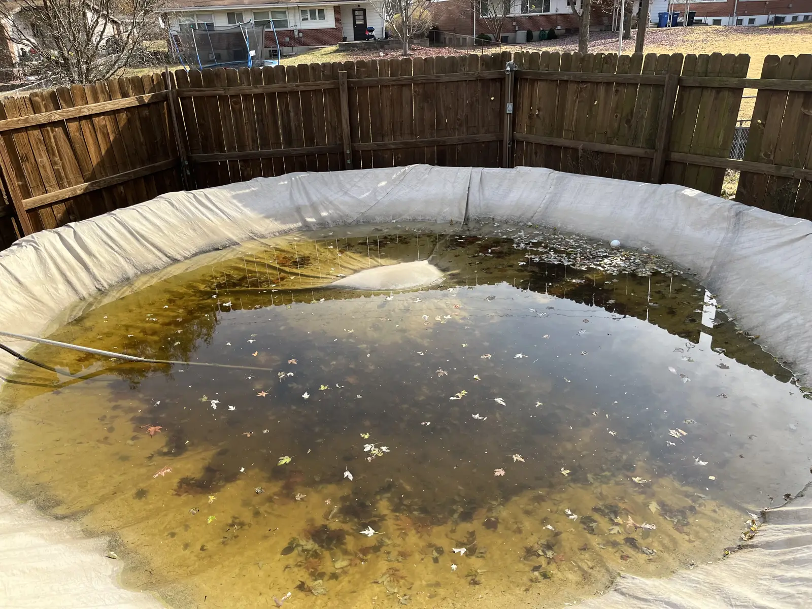 The neglected backyard pool