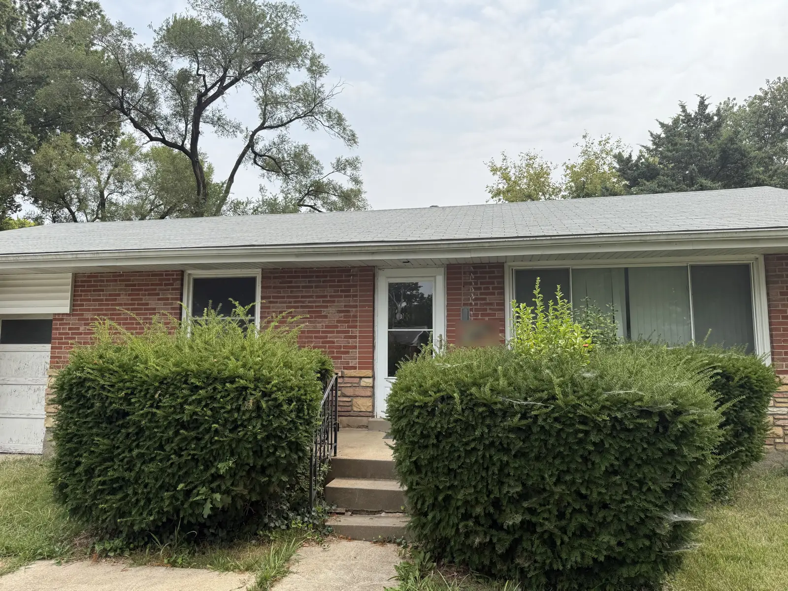 The front, overgrown when we bought it