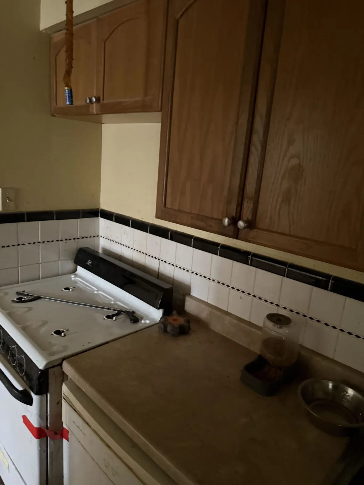 Old cabinets and range